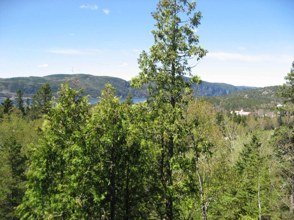 Vila Chalet De La Montagne Tadoussac Exteriér fotografie